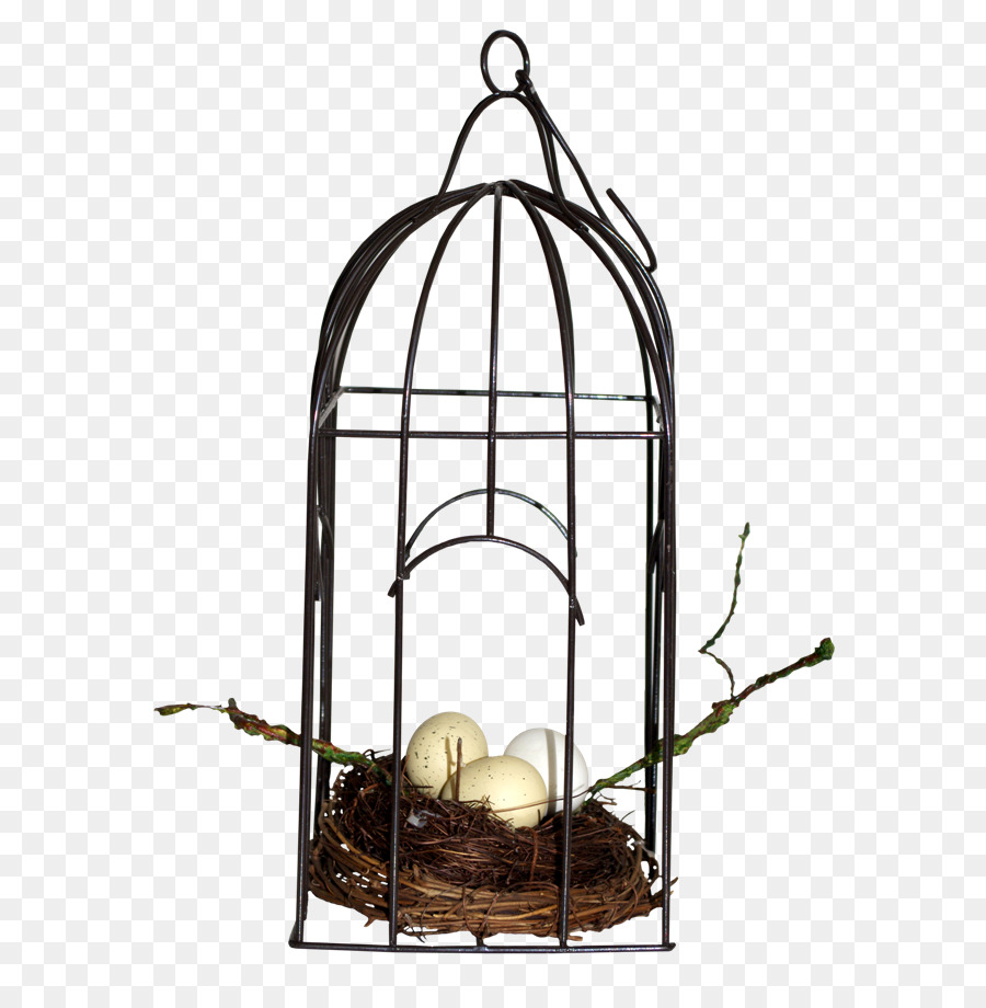 Cage à Oiseaux，Nid PNG