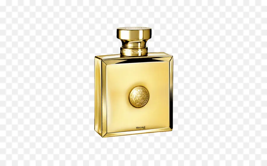 Parfum，Pour Femme Oud Oriental Par Versace Pour Femme Edp 100ml Testeur PNG