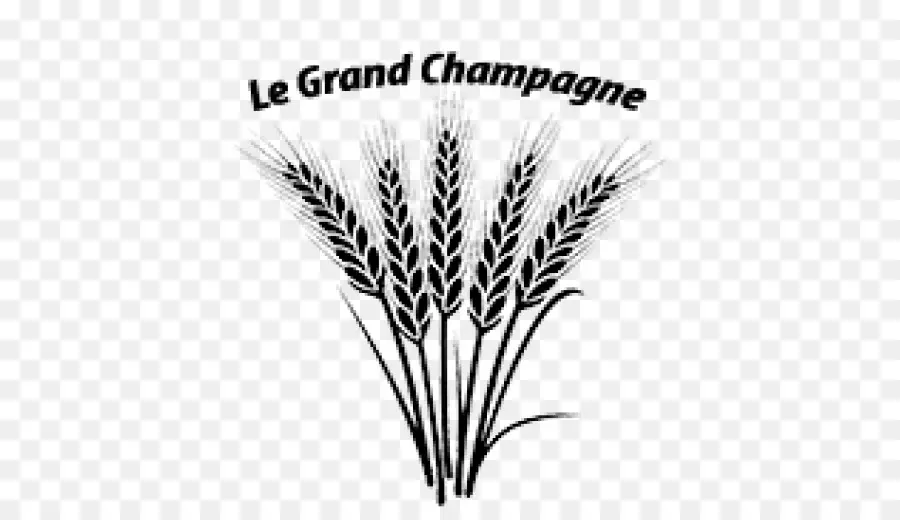 Blé，Le Grand Champagne PNG