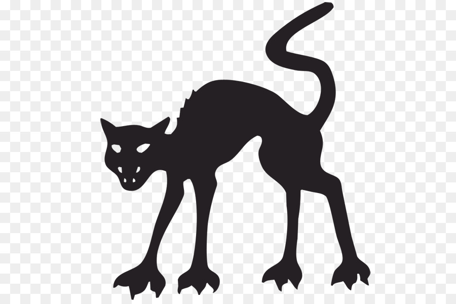 Chat Noir，Félin PNG