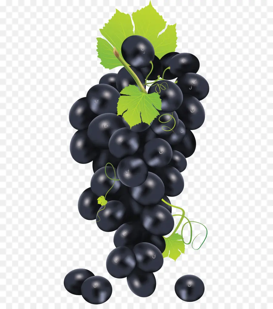 Raisins Rouges，Vigne PNG