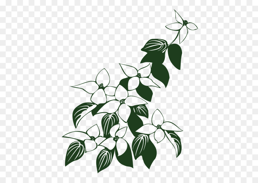 Fleur，Feuilles PNG