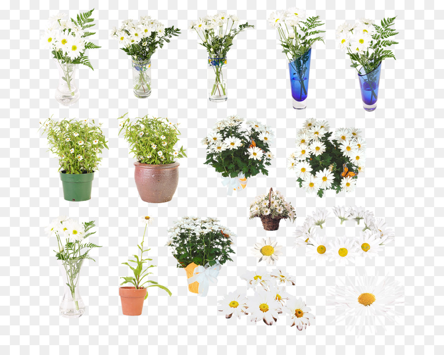 Fleurs De Marguerite，Bouquet PNG