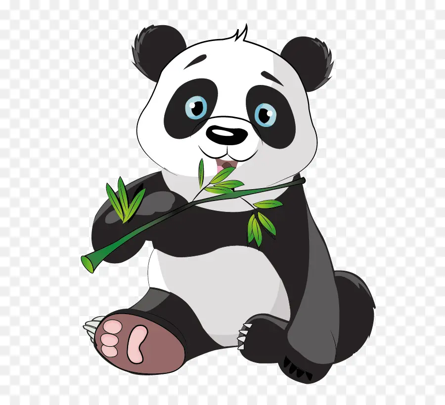 Panda，Bambou PNG