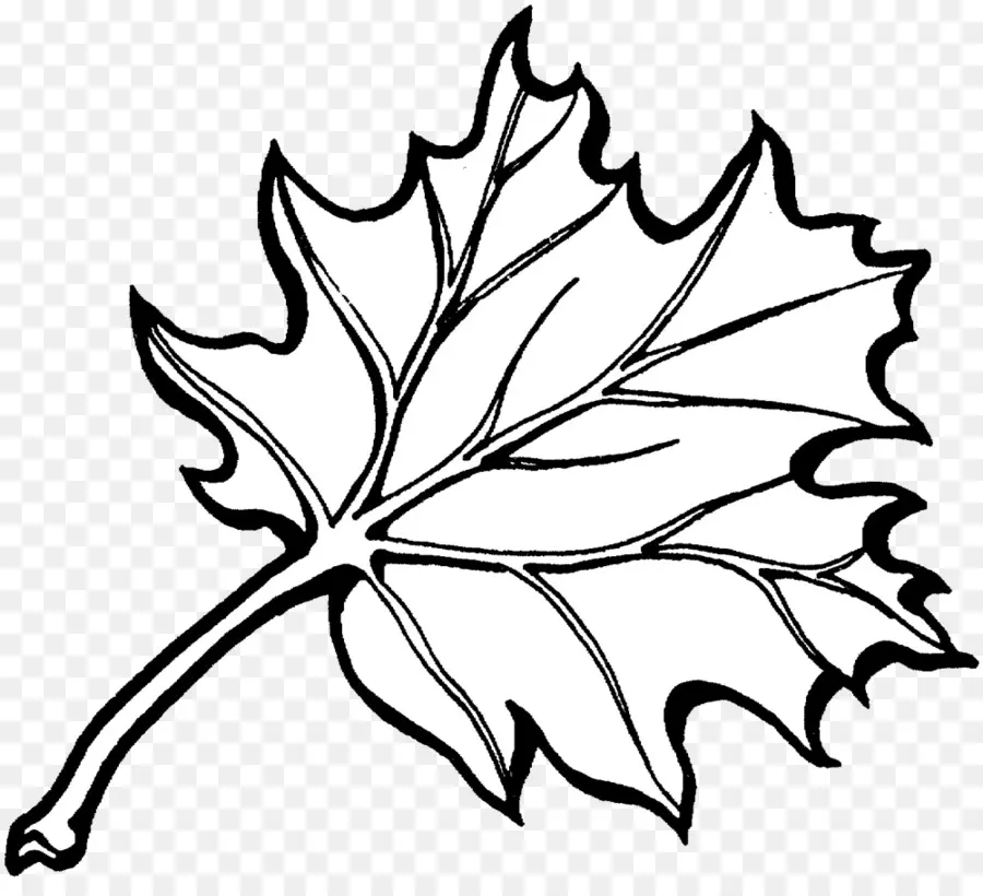 Feuille，Arbre PNG