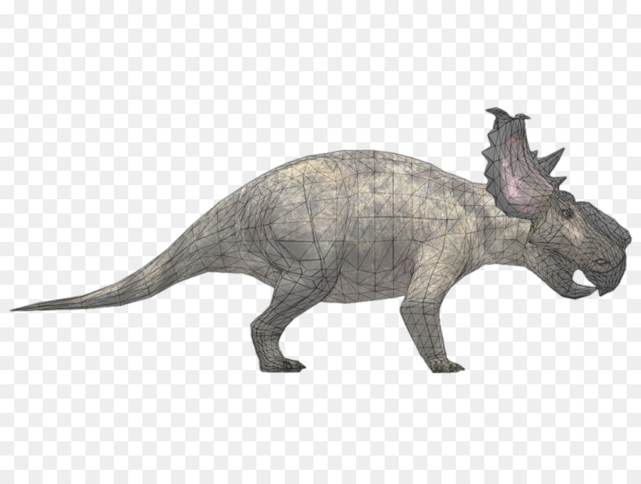 Pachyrhinosaure，Le Tyrannosaure PNG