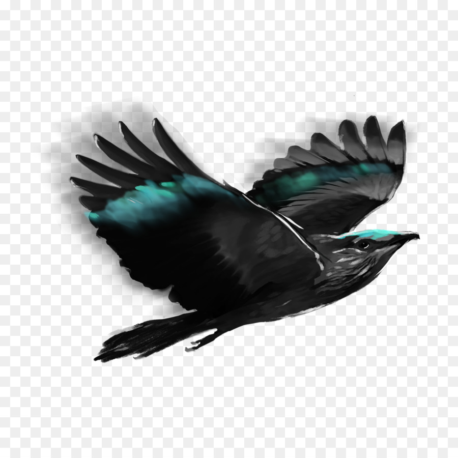 Oiseau Noir，Vol PNG