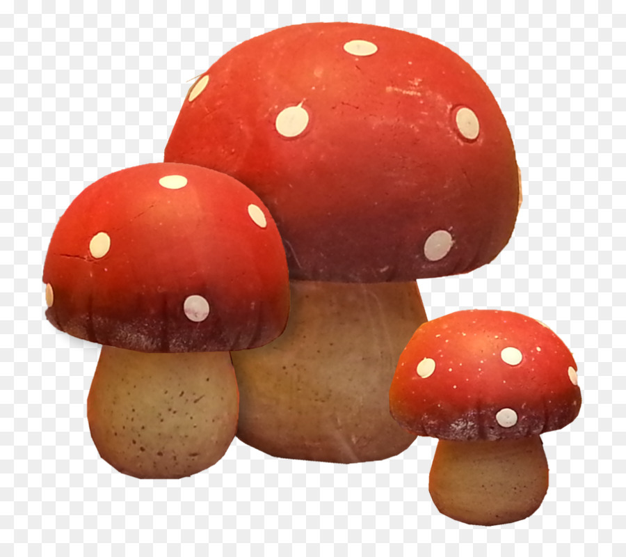 Champignons，Grappe PNG