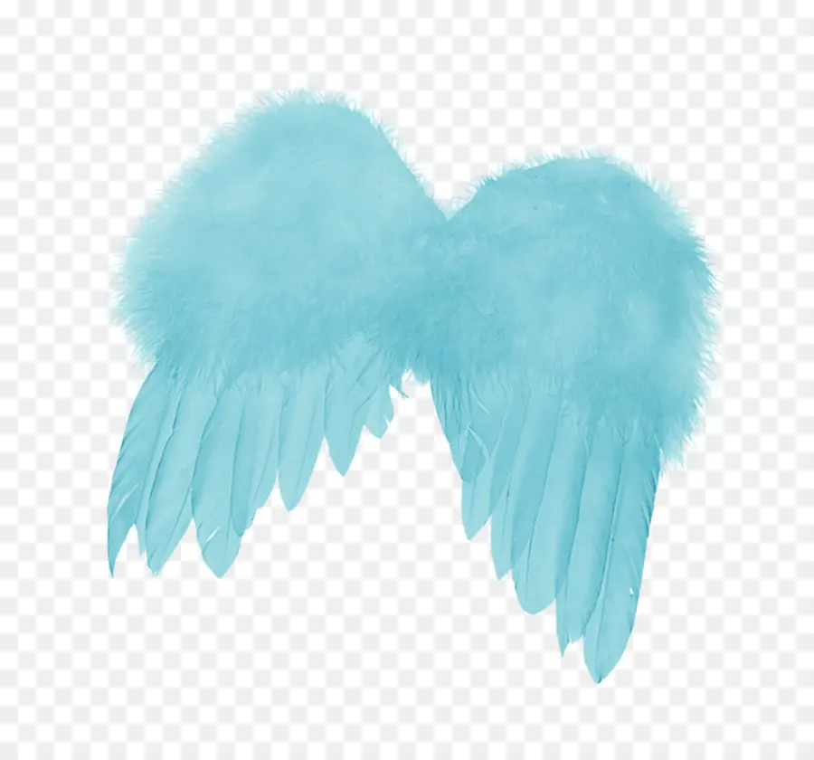 Ailes D'ange Bleu，Plumes PNG