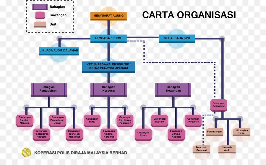 Organigramme，Structure PNG