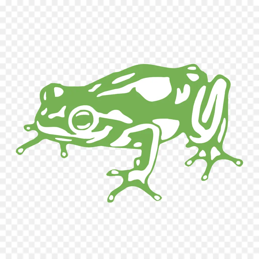 Grenouille Verte，Amphibie PNG