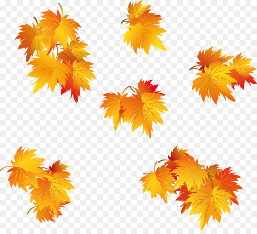 Feuilles D'automne，Automne PNG