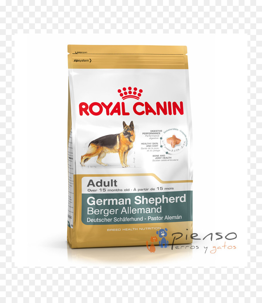 Chihuahua，Berger Allemand PNG
