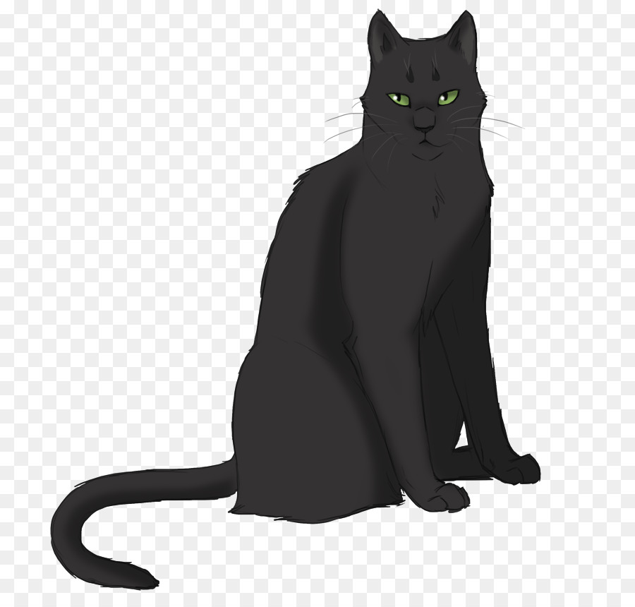 Chat Noir，Animal De Compagnie PNG