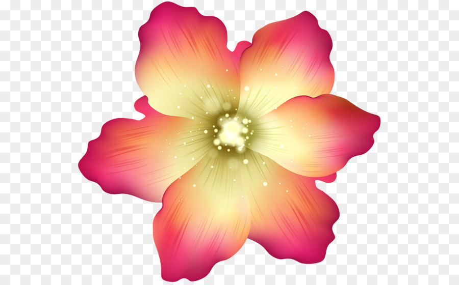 Rosemallows，Fleur PNG