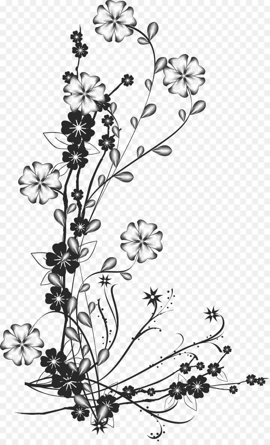 Conception Florale，Noir PNG