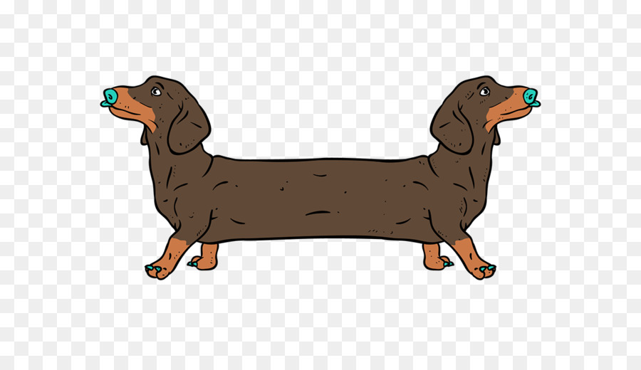 Teckel，Chien PNG