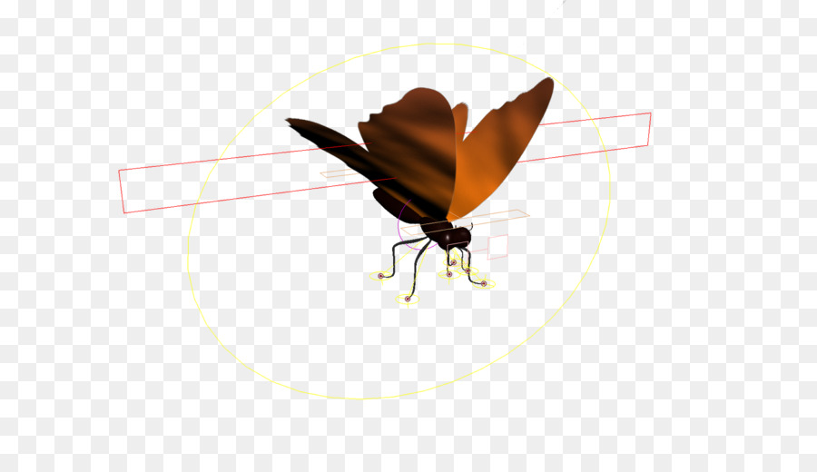Papillon，Les Insectes PNG