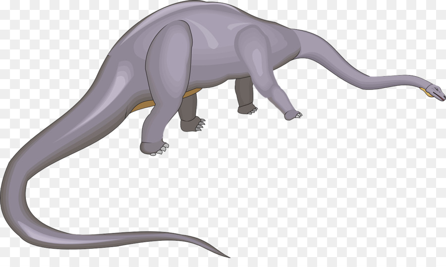 Dinosaure，Longue Queue Mots Clés PNG