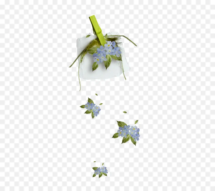 Fleurs Ne M'oubliez Pas，Bleu PNG