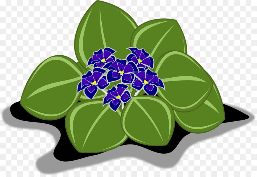 Fleurs Violettes，Feuilles PNG