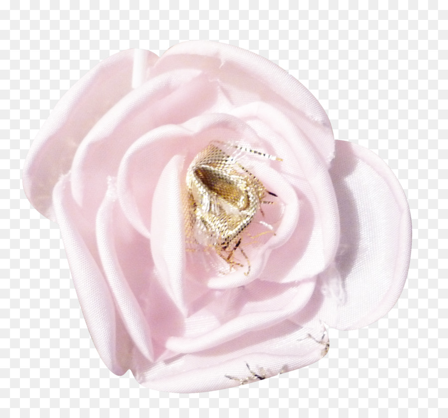 Roses De Jardin，Rose PNG