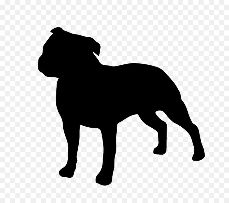 Staffordshire Bull Terrier，Bull Terrier PNG