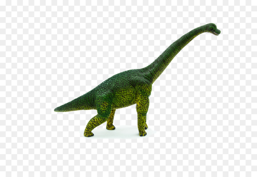 Brachiosaure，Dinosaure PNG