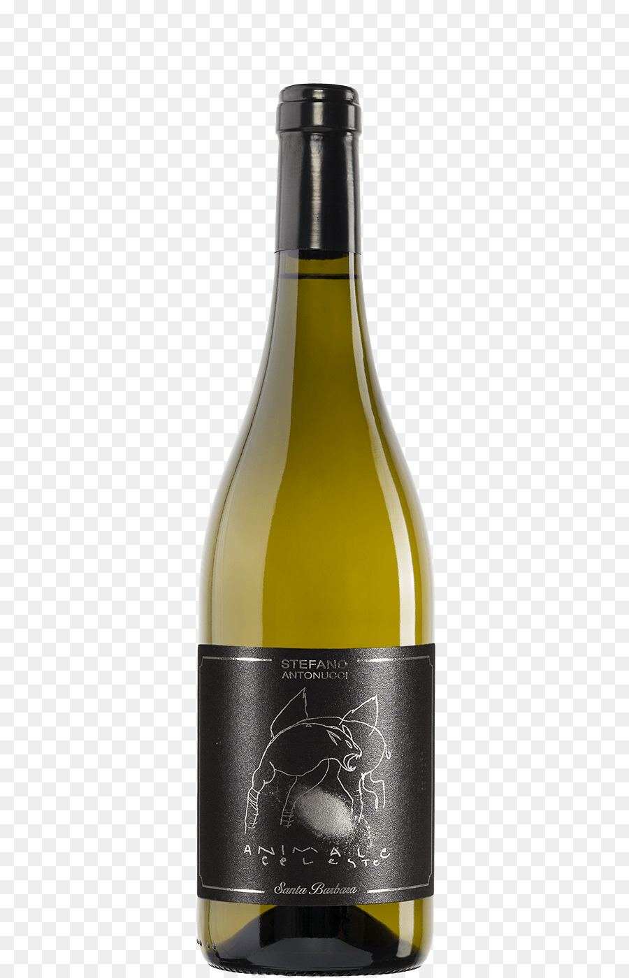 Vin Blanc，Vin PNG