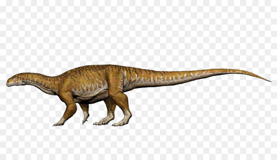 Dinosaure，Sauropodomorpha PNG