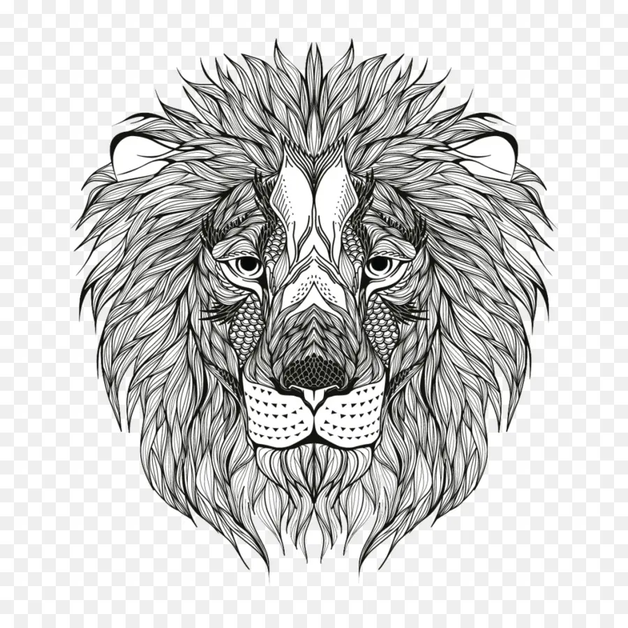 Illustration De Lion，Lion PNG