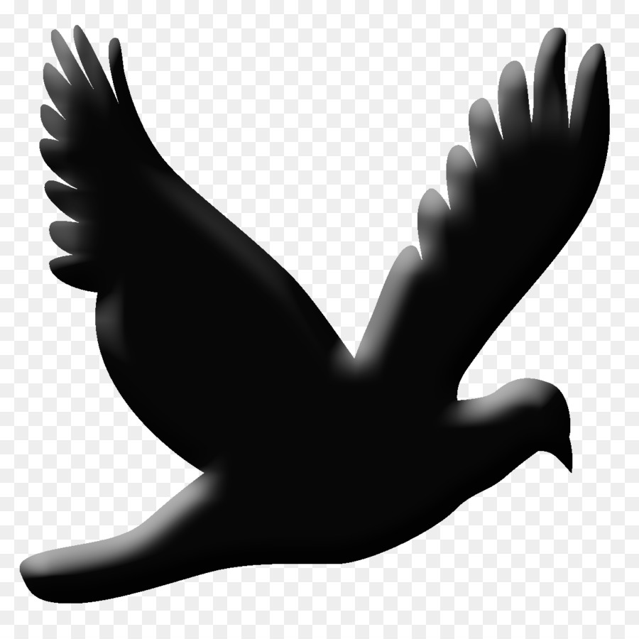 Silhouette，Oiseau PNG