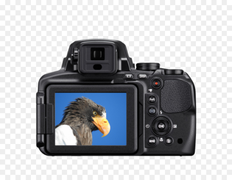 Caméra Pointandshoot，Zoom PNG