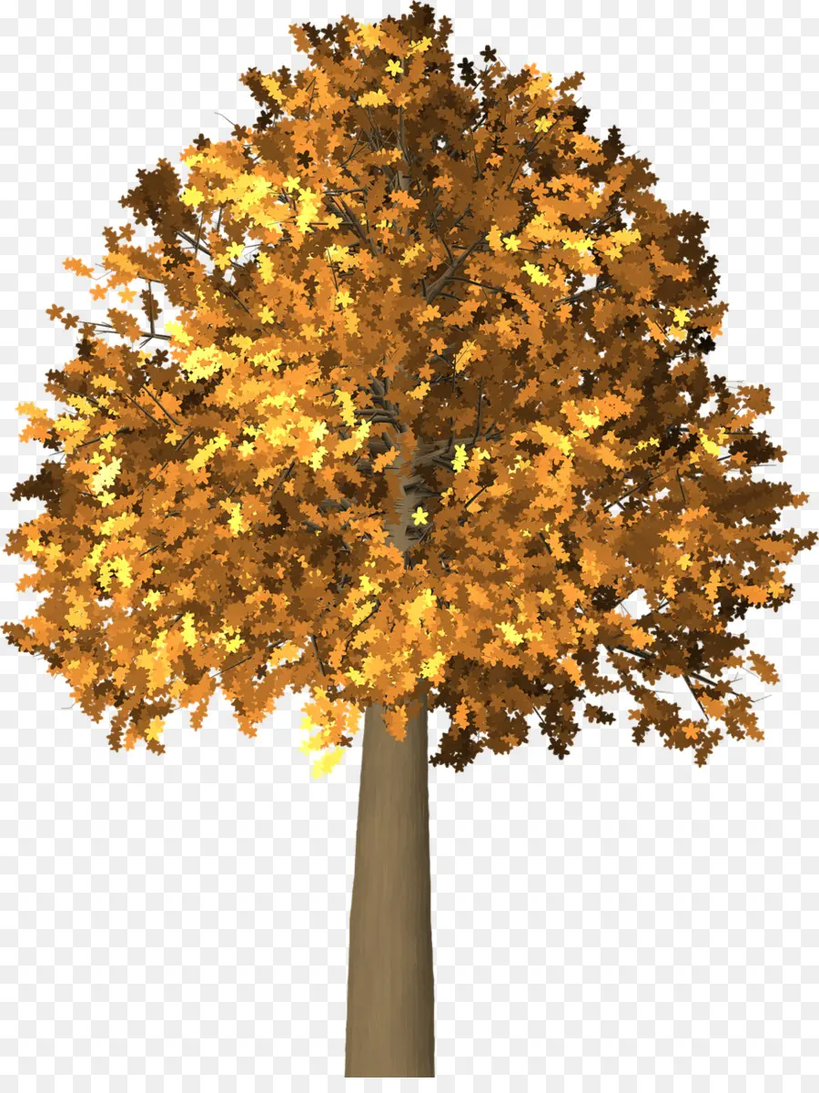 Arbre，Feuilles PNG