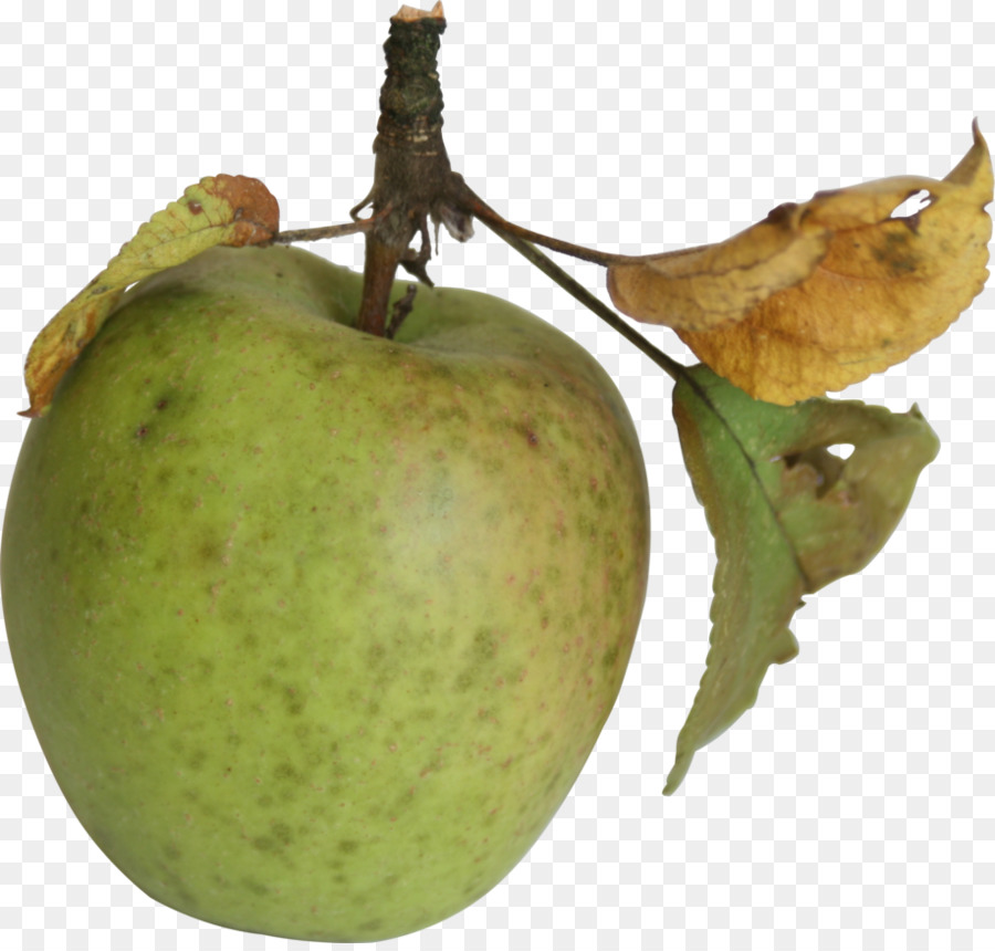 L Art，Pomme PNG