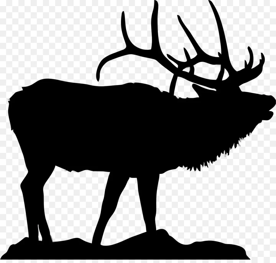 Elk，L Orignal PNG