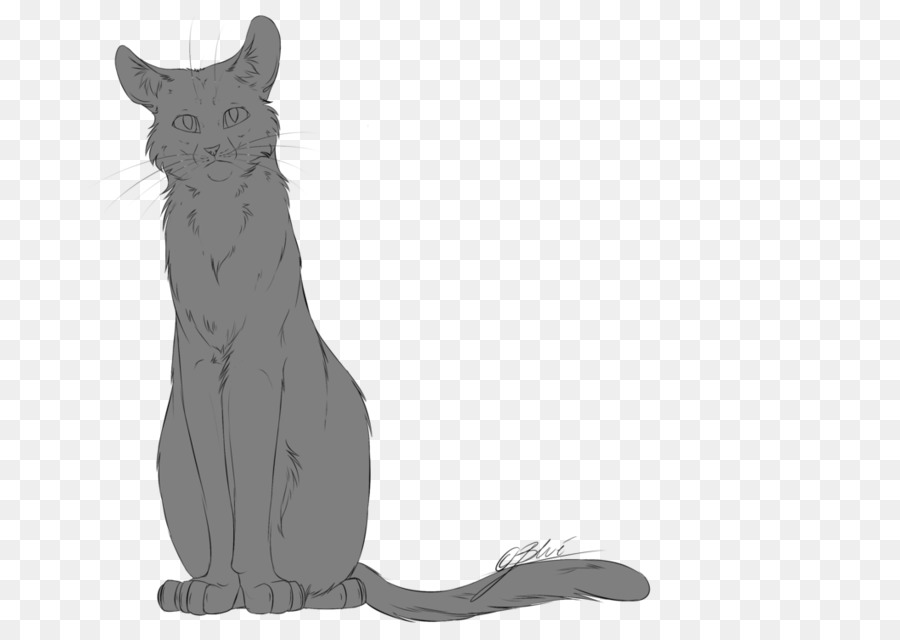 Croquis De Chat，Animal PNG