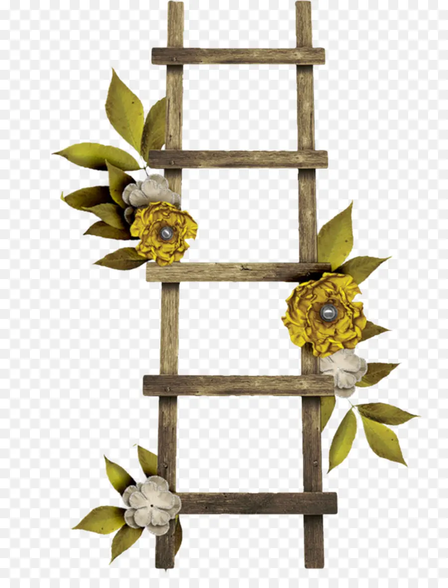 Échelle Décorative，Fleurs PNG