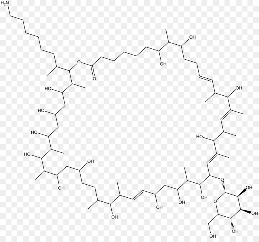 Structure Chimique，Molécule PNG