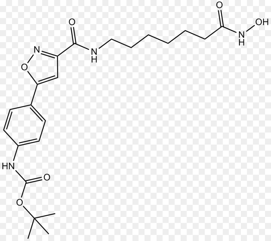 Histone Déacétylase，La Cellule PNG