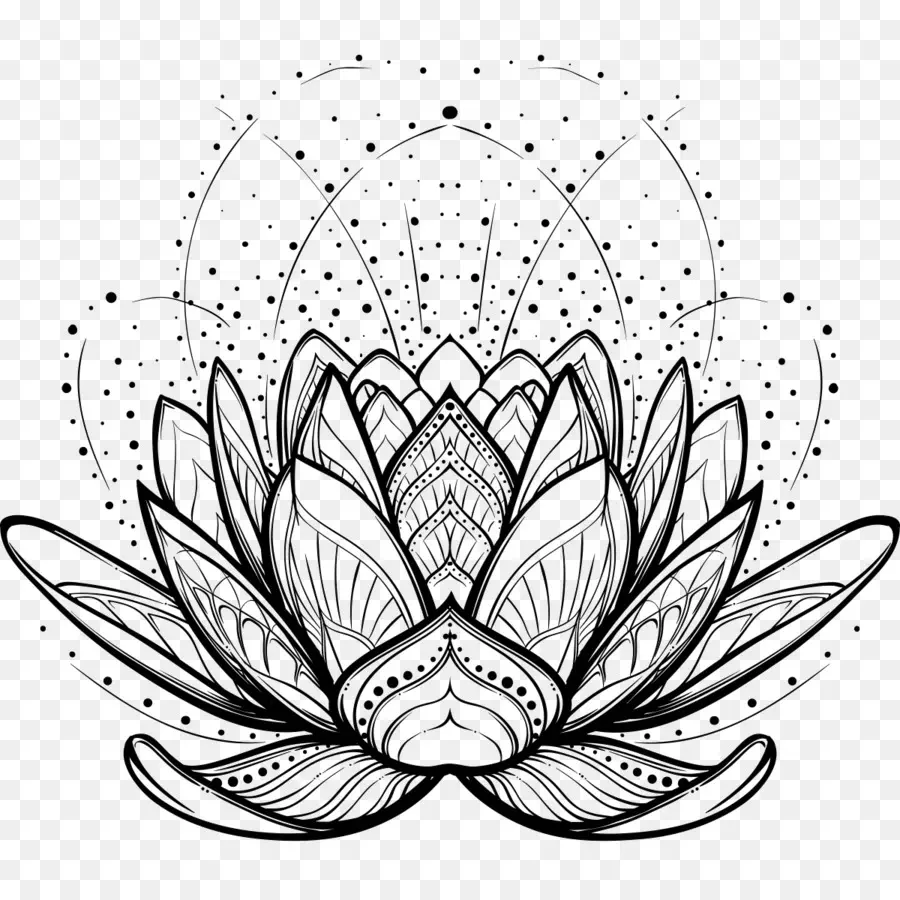 Fleur De Lotus，Mandalas PNG