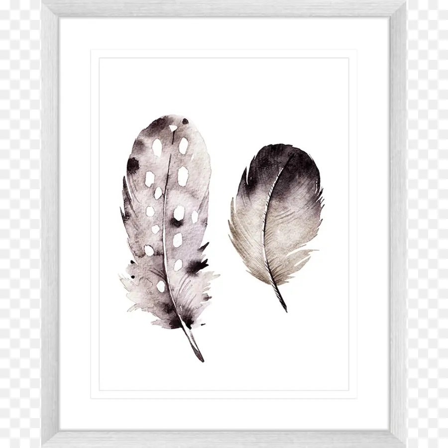 Plumes，Aquarelle PNG