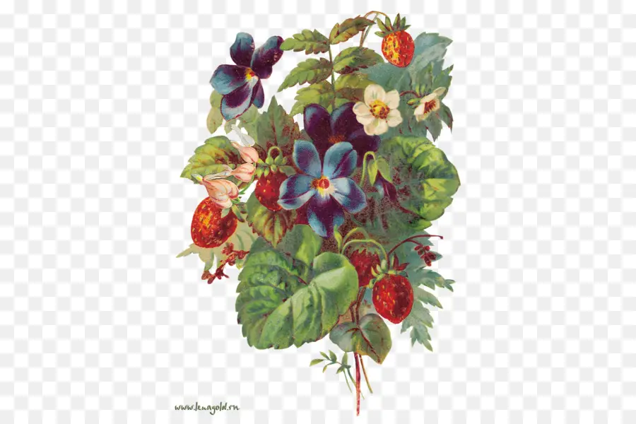 Fraises Et Fleurs，Fraises PNG