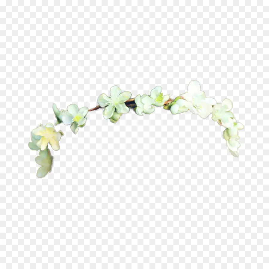 Couronne De Fleurs，Floral PNG