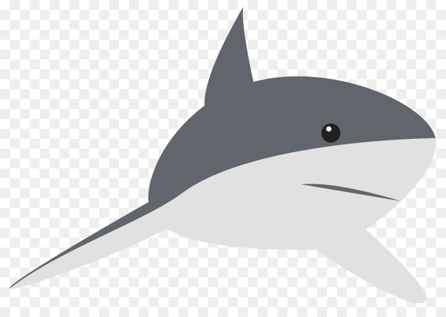 Requin，La Faune PNG