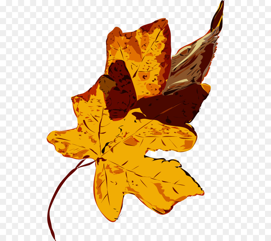 Feuilles D'automne，Automne PNG