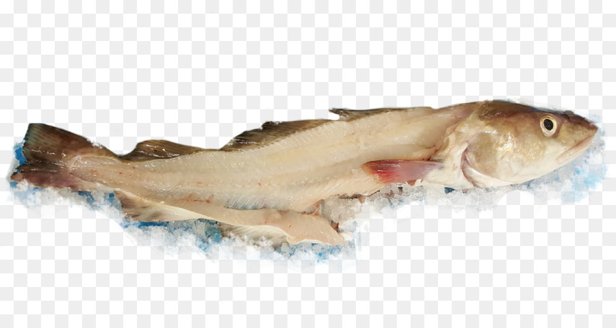 Les Poissons，Whitefish PNG