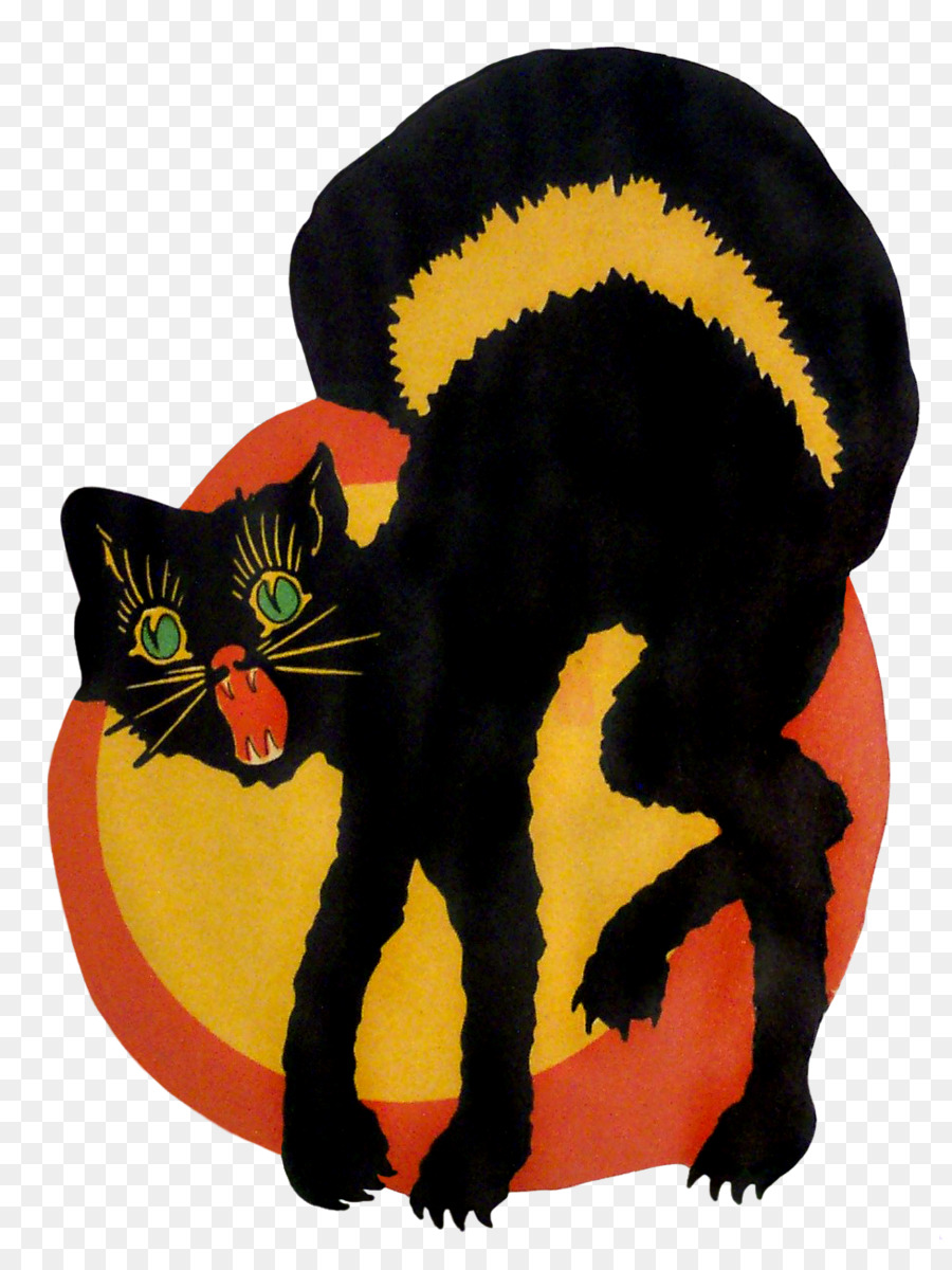 Chat Noir，Chat Bombay PNG