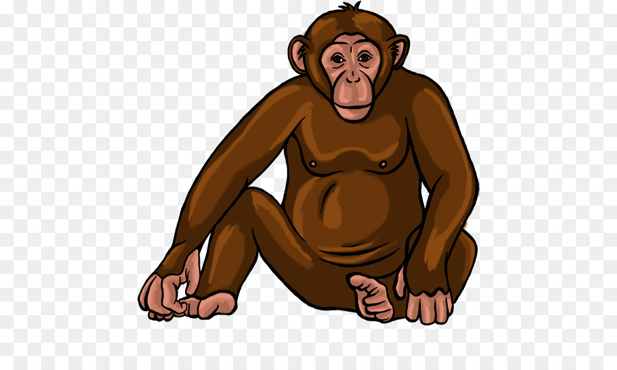Chimpanzé Commun，Humain PNG