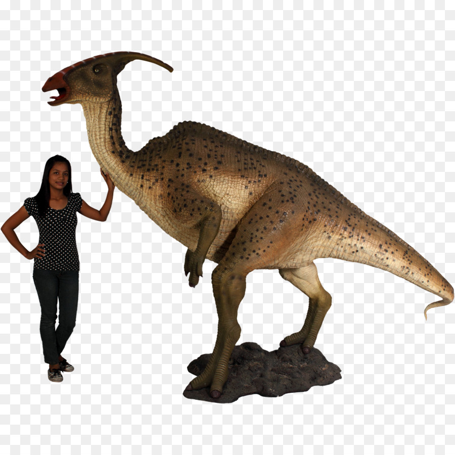 Le Tyrannosaure，Parasaurolophus PNG